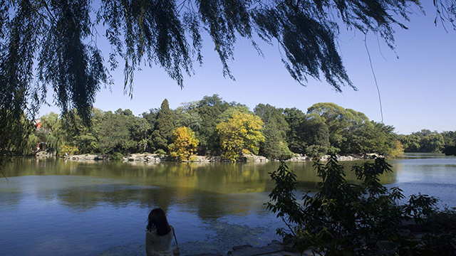 北京大学湖